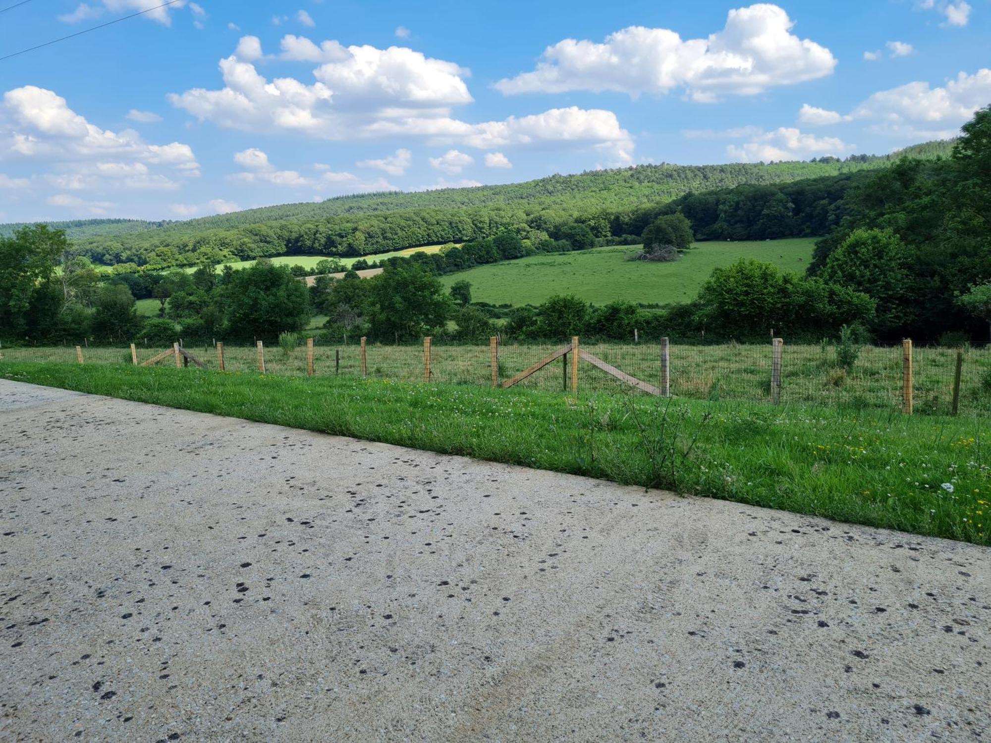 Gite Avec Vue Panoramique, Ideal Pour Un Weekend ! Mont-Saint-Jean  Kültér fotó